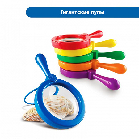 Комплект Learning Resources для группы «Юный энтомолог в детском саду»
