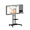 Интерактивная панель STORM S MINI 43" (с документ-камерой)