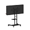 Интерактивная панель STORM S MINI 43" (с документ-камерой)